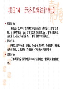 14经济监督法律制度