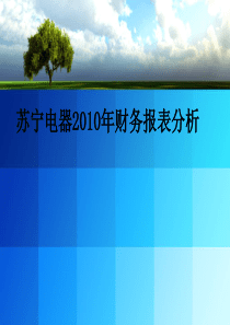 2010年苏宁电器财务报表分析