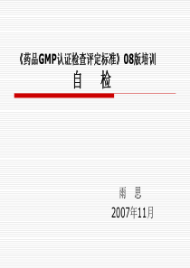 自检培训《药品GMP认证检查评定标准》08版(雨思)