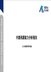 内部资源能力分析报告-提交版