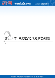 2011年高考生物一轮复习同步课件必修1：第六章  第2、3、4节 细胞的分化、衰老、凋亡及癌变