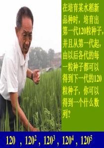 等比数列课件.ppt