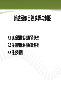 遥感图像目视解译与制图分析