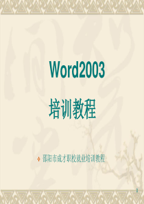 Word2003基础教程完整版精讲