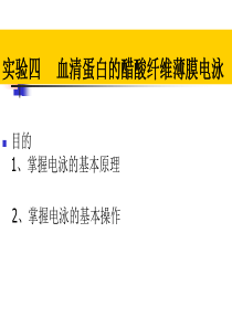 实验四  醋酸纤维薄膜电泳分离血清蛋白概论