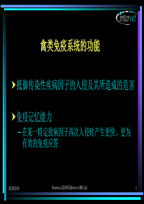 禽类基础免疫学与疫苗学