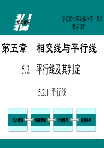 人教版七年级数学下册课件-5.2.1-平行线2