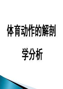 体育动作的解剖学分析