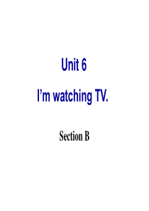 2013新目标英语七年级下Unit6-Im-watching-TV-SectionB