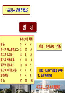 马原选择判断练习研究