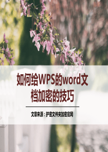 如何给WPS的word文档加密的技巧