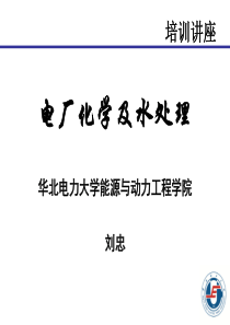 电厂化学-7汽水监督资料