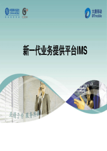 4 新一代业务提供平台IMS