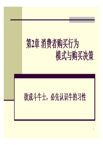 第2章消费者购买行为模式与购买决策解析