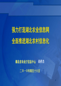 全面推进湖北农村信息化ppt