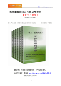 高纯磷酸项目可行性研究报告立项范文格式