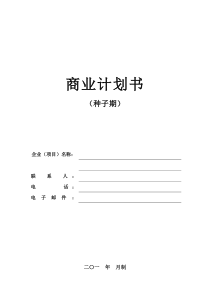 商业计划书模版(种子期)