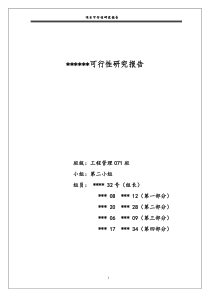 可行性研究报告 范例