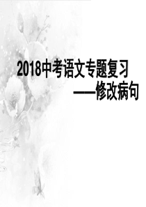 2018中考语文专题复习修改病句