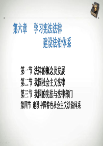 第六章学习宪法法律 建设法治体系