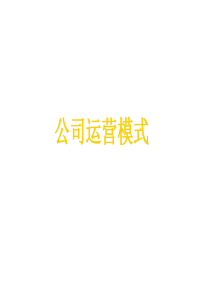 公司运营模式详解