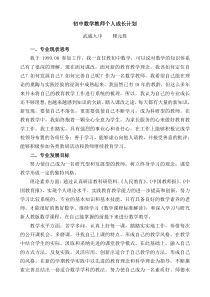 初中数学教师个人专业发展计划