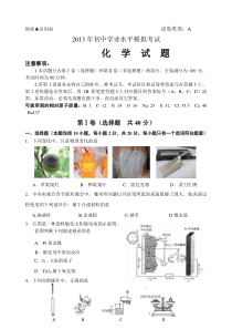 初中化学模拟试题