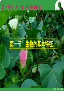 生物的基本特征课件PPT