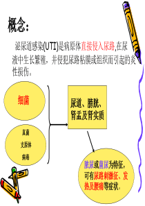 最新小儿泌尿道感染主题讲座课件