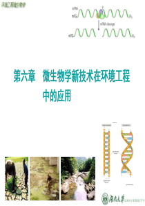 第二篇第6章__微生物学新技术在环境工程中应用