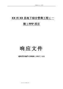 PPP项目地下综合管廊投资建设运营方案说明