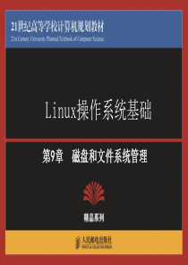 第9章磁盘和文件系统管理报告
