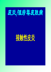 接触性皮炎、湿疹