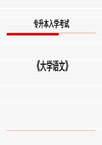 专升本入学考试《大学语文》