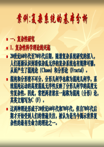 案例：_复杂系统的基本分析