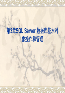 SQL Server 数据库基本对象操作和管理包括视图