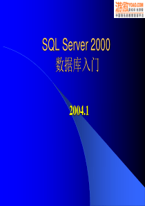 SQL SERVER数据库入门(PPT 33页)