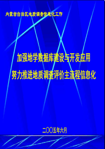 内蒙古自治区地质调查信息化工作