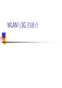 WLAN与3G 的融合