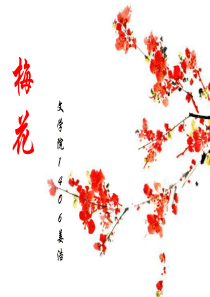 梅花详细介绍