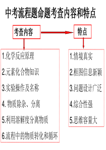 专题复习初中工业流程图