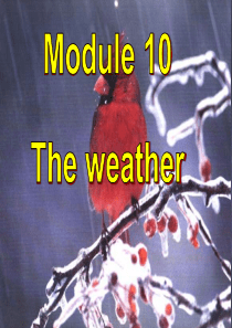 201714-15学年外研版八年级上册 Module 10 The weather Unit 1 课