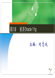 Oracle11g教程 第2章 初识Oracle11g