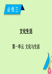 2019届高考政治一轮复习第一单元文化与生活第1课文化与社会课件新人教版必修