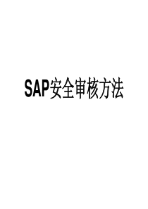 SAP安全与审核方法