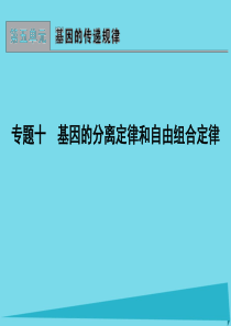 2017版高考生物一轮复习 专题10 基因的分离定律和自由组合定律课件