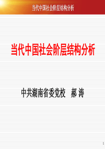 省委党校课件：当代中国社会阶层结构分析