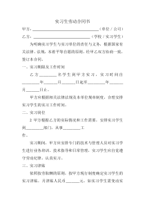 实习生劳务合同标准版