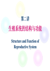 02.生殖系统的结构与功能