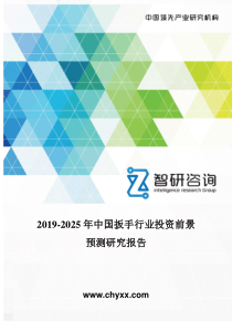 2019-2025年中国扳手行业投资前景预测研究报告